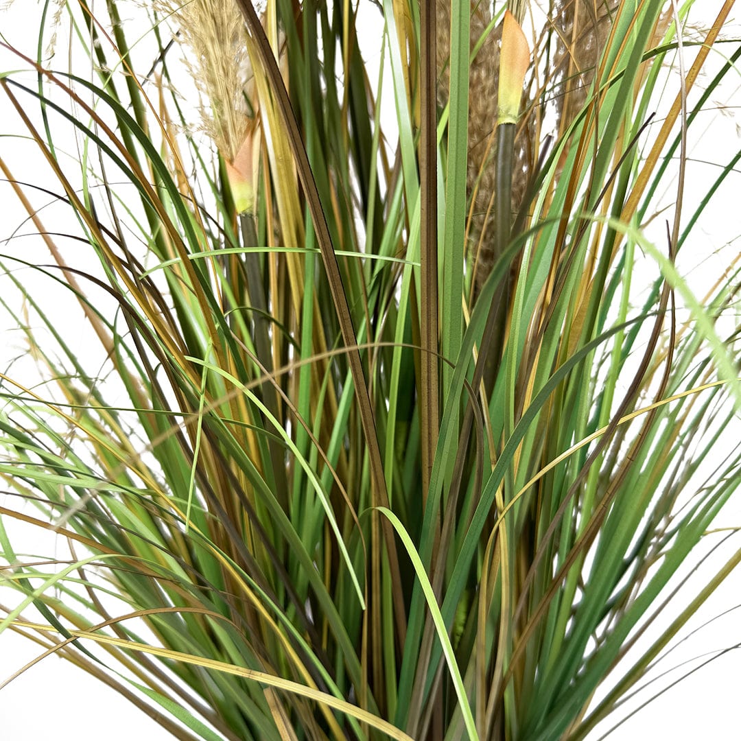 Gramínea Plumas Marrones