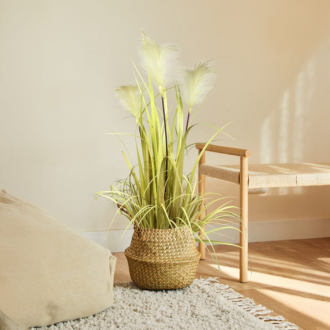 Nordic Grass