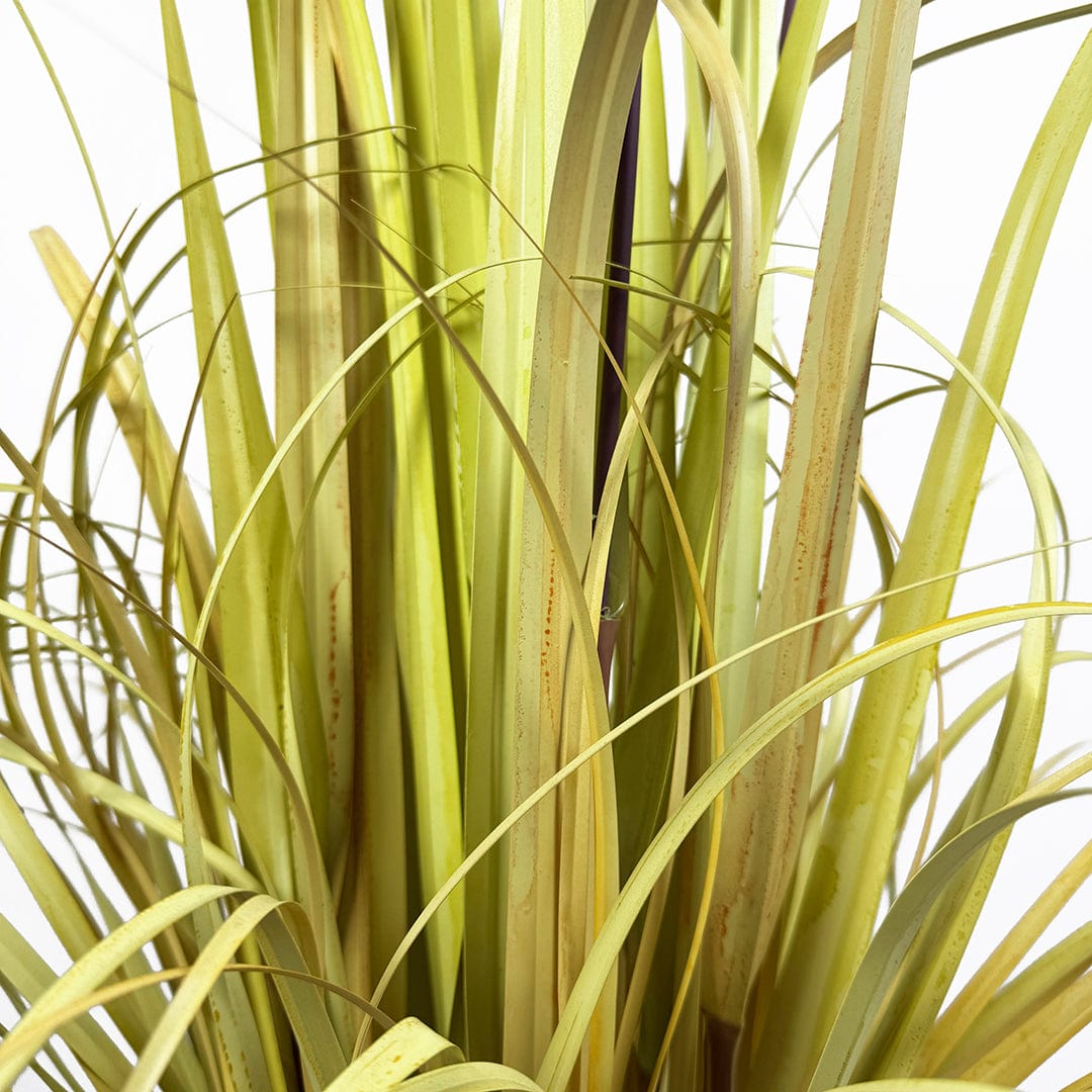 Nordic Grass