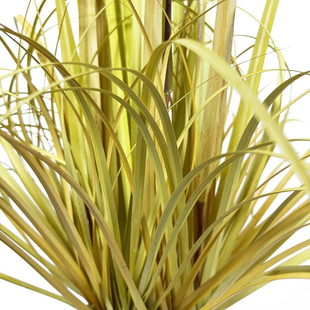 Nordic Grass