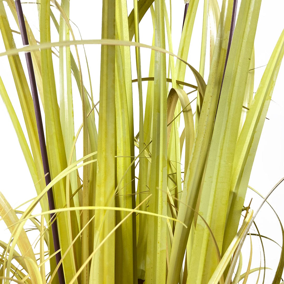 Nordic Grass