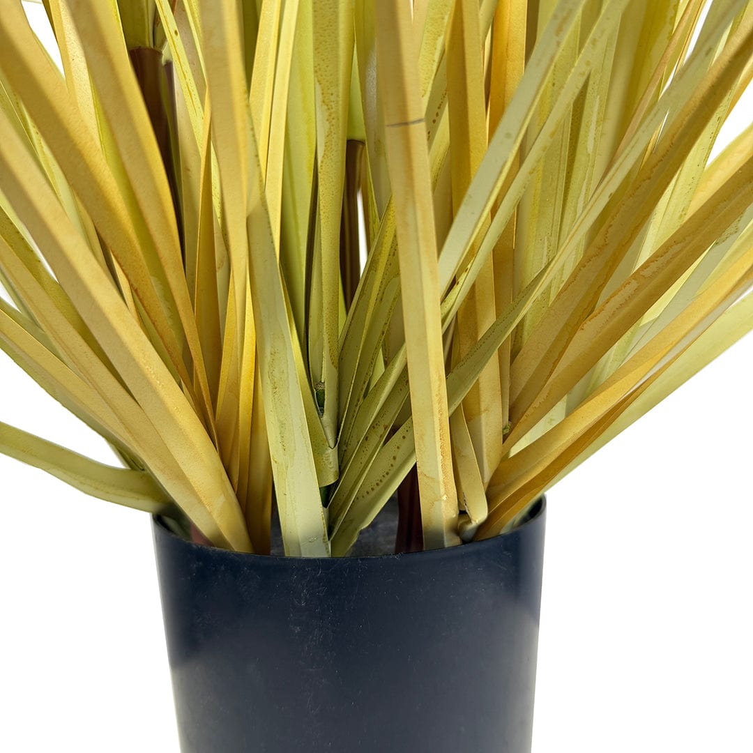 Nordic Grass