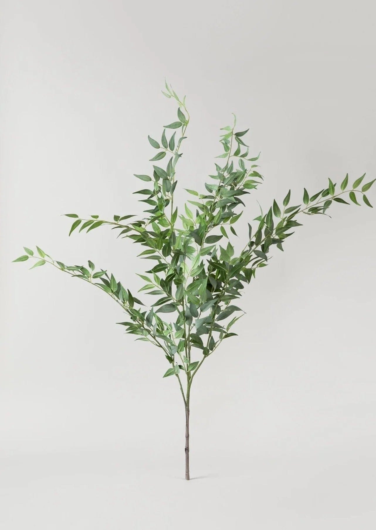 Artificial Italian Ruscus branch