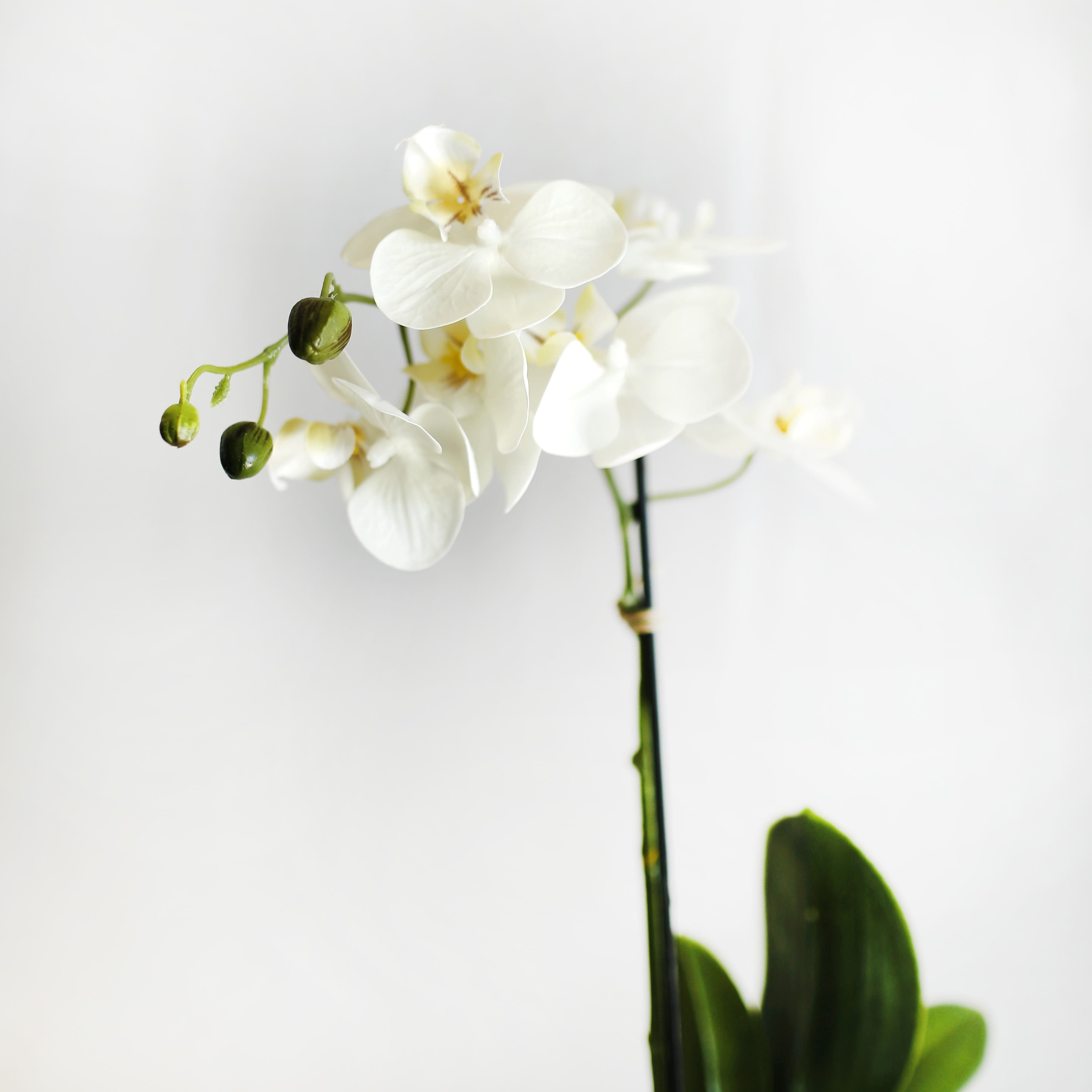 Keramische Orchidee